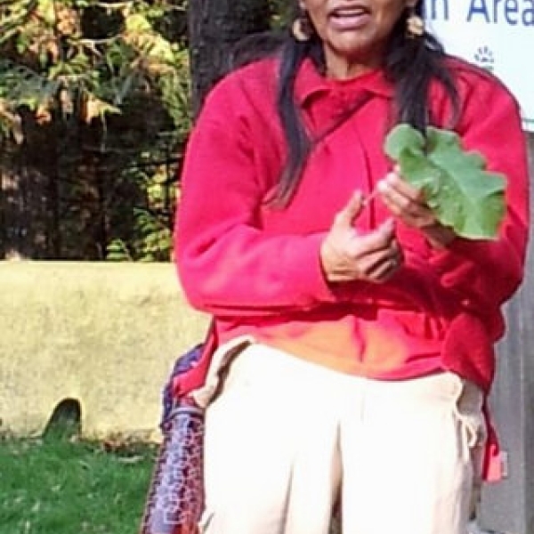 Cowichan Elder and ethnobotanist, D Sylvester Cowichan Elder and ethnobotanist, Della Sylvester, ANTH 121 field trip. 23 October 2013.