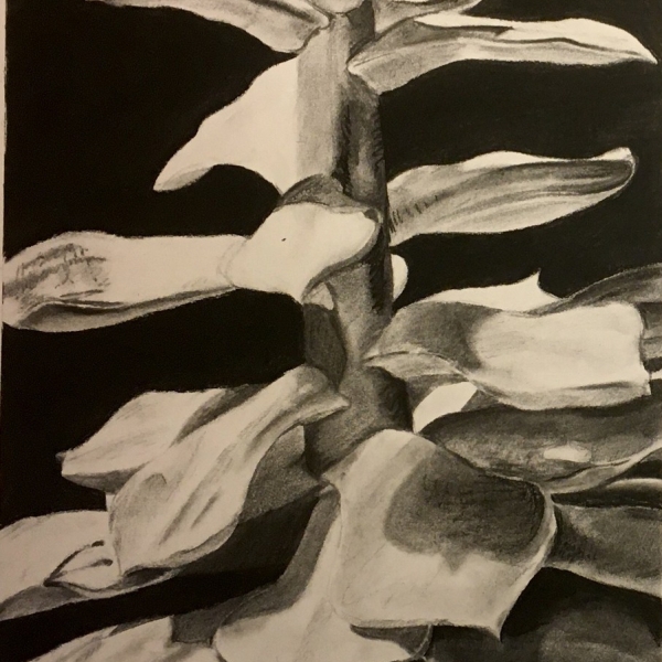 Alyssa MacGougan, ARTS 101