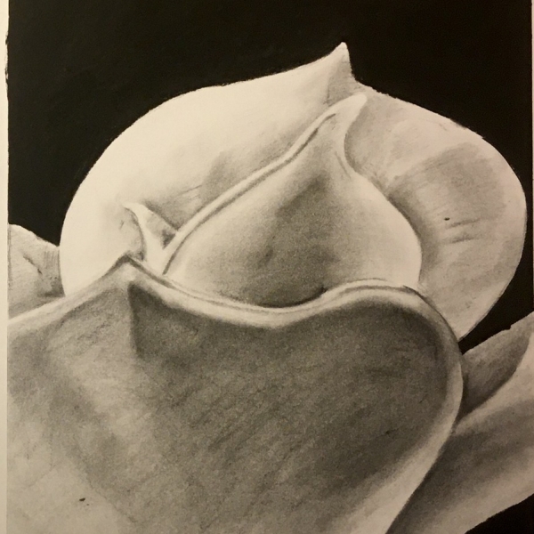 Alyssa MacGougan, ARTS 101