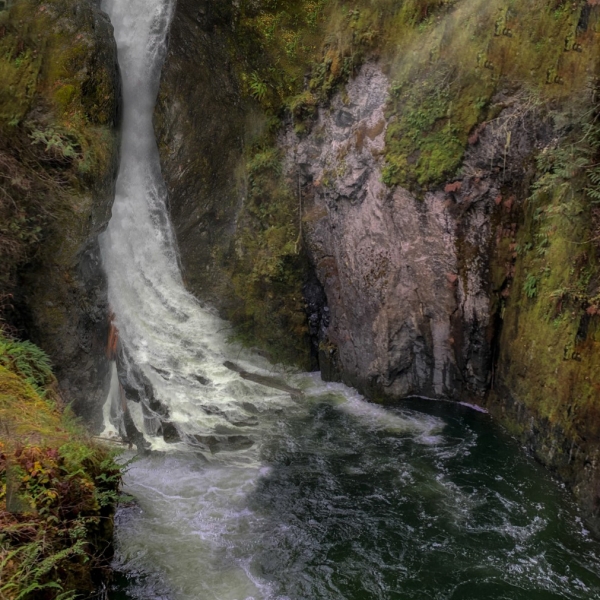 Adam Collishaw, ARTS 244