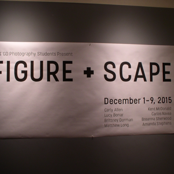 Figure Scape 2015