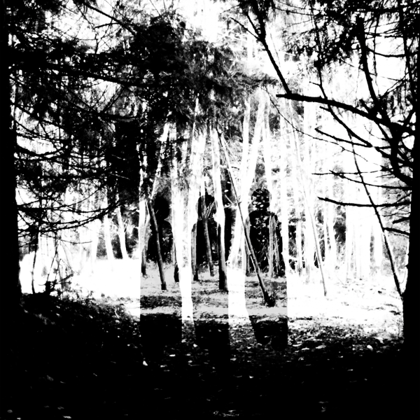 Liana Ravensbergen, ARTS 244