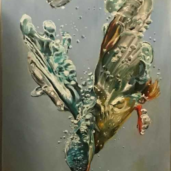 Olivia Haysey, ARTS 484