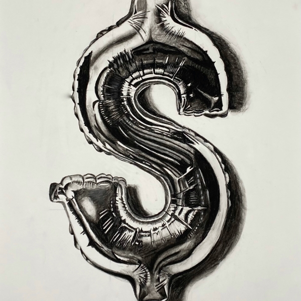 Sophie Roe, untitled, charcoal