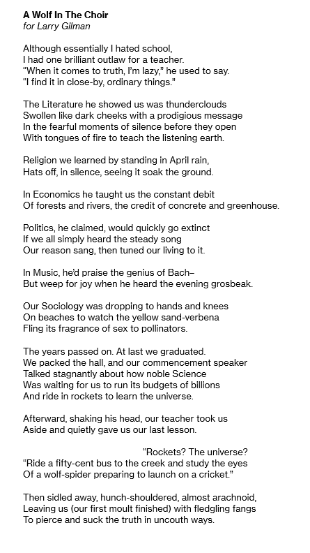 A Wolf In The Choir for Larry Gilman  Although essentially I hated school, I had one brilliant outlaw for a teacher. “When it comes to truth, I’m lazy,” he used to say. “I find it in close-by, ordinary things.”  The Literature he showed us was thunderclou