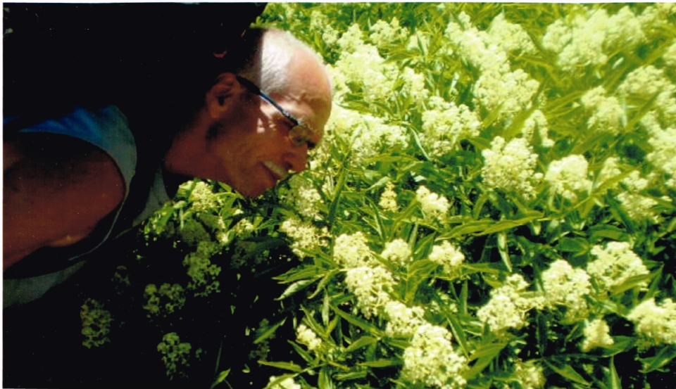 Richard Arnold and blooming flowers