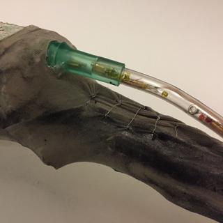 Maya Florey, (detail) 