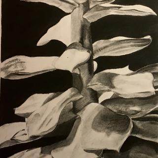 Alyssa MacGougan, ARTS 101