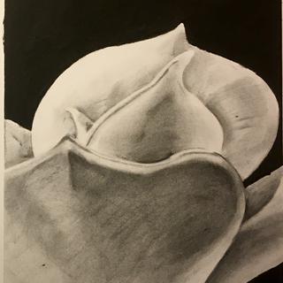 Alyssa MacGougan, ARTS 101