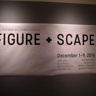 Figure Scape 2015