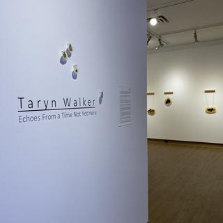 Taryn Walker