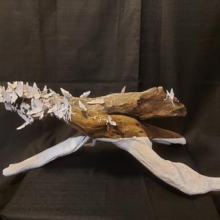 Kylee Bowman, ARTS 284