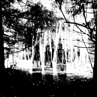 Liana Ravensbergen, ARTS 244