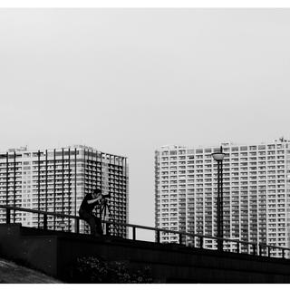 Yukino Yokaya, ARTS 368