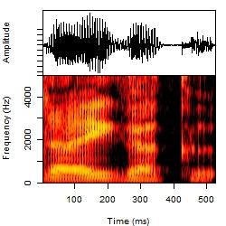 japanese-daiaku-g-dictionaryform