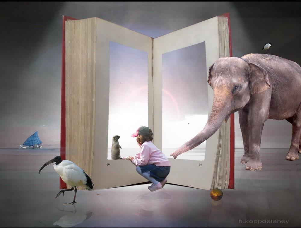 kid and elephant looking at a book that has a hole in it like a door