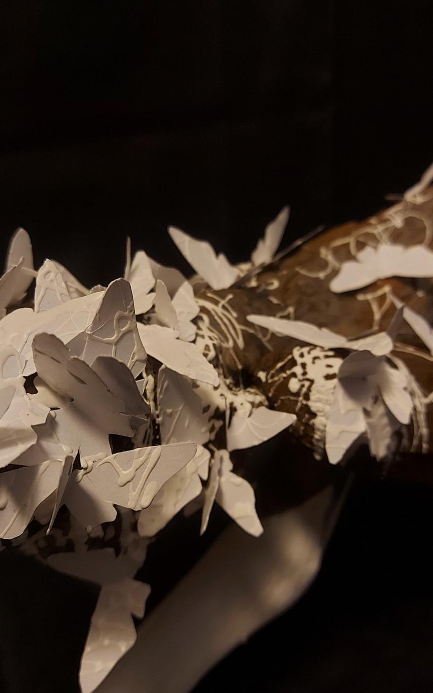 Kylee Bowman (detail)